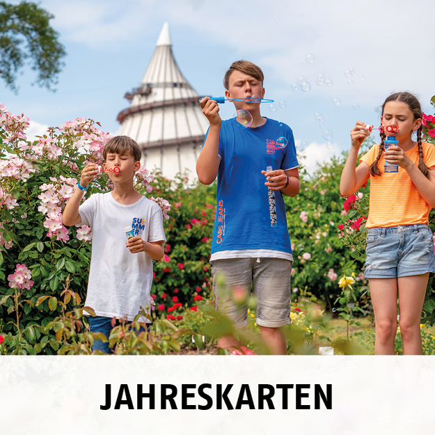 Wie lange ist die Jahreskarte gültig?