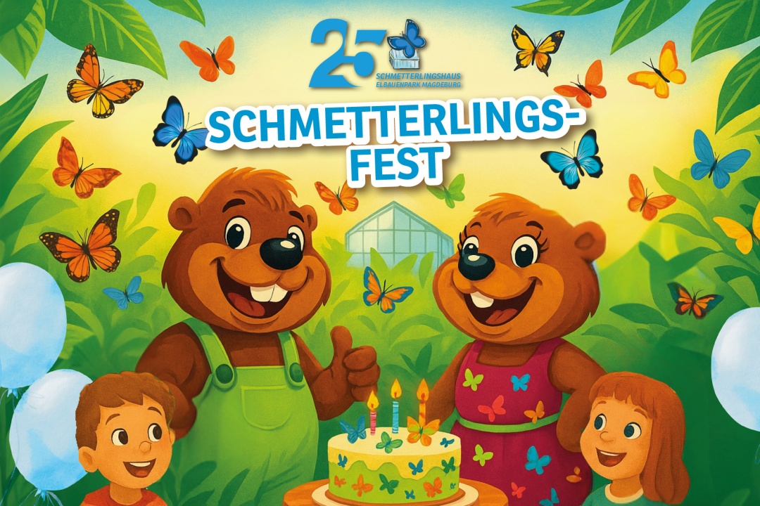 Bild für Schmetterlingsfest 13. Juli 2025