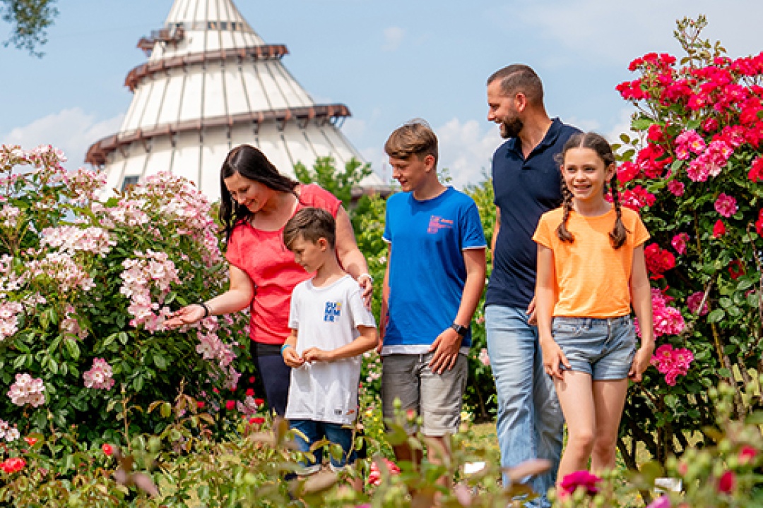 Bild für Wie lange ist die Jahreskarte noch gültig?