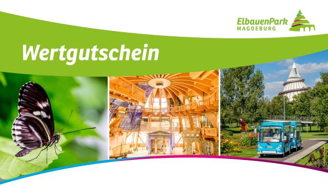 Kollage mit einem Schmetterling, dem Jahrtausendturm von innen und der Bummelbahn