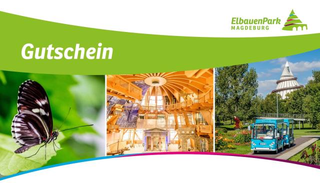 Kollage mit einem Schmetterling, dem Jahrtausendturm von innen und der Bummelbahn